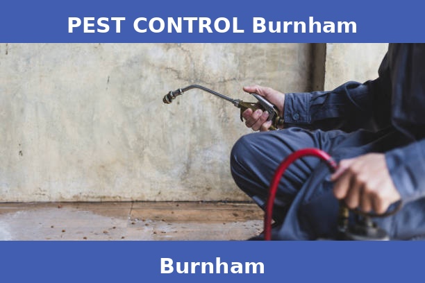 PEST CONTROL Burnham